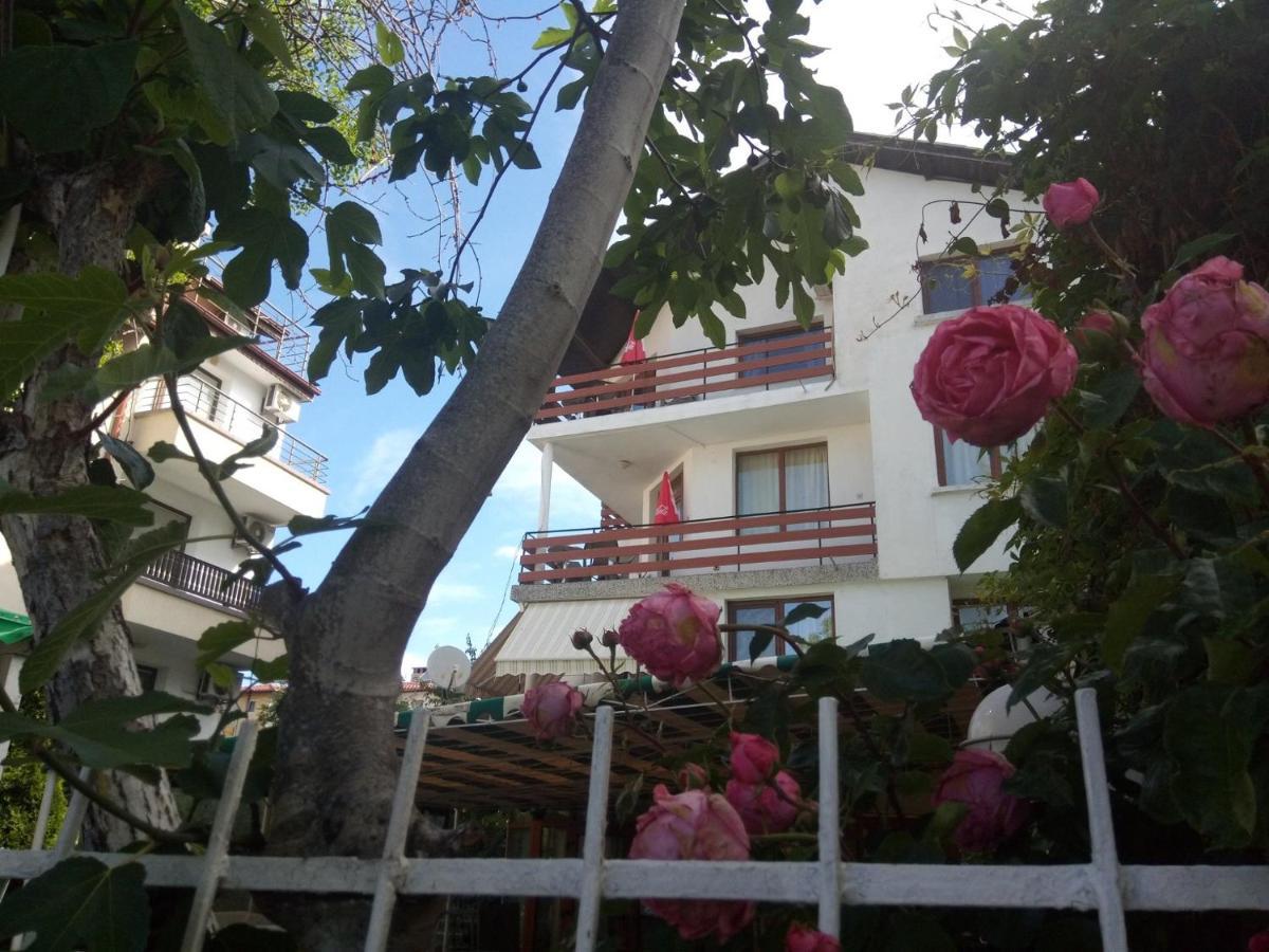 Guesthouse Oasis Kiten  Ngoại thất bức ảnh